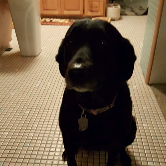 Meet your Posher, C - Picture 1 of 1